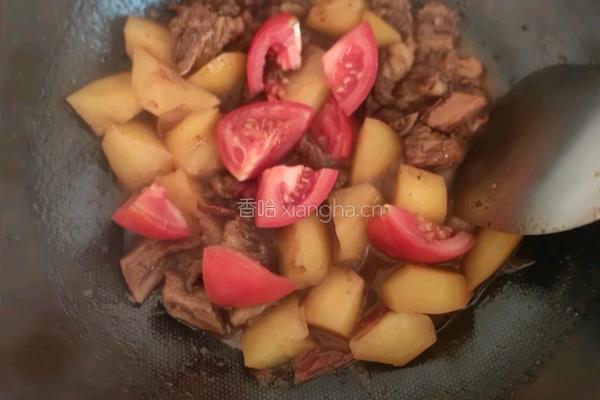 番茄土豆炖牛腩的做法图解15