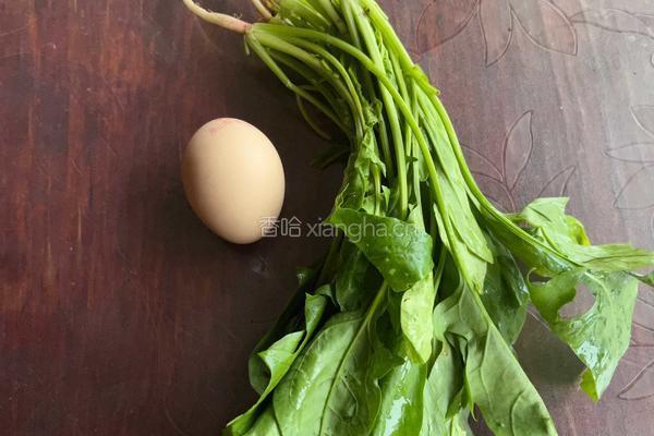 菠菜蛋汤 的做法图解1
