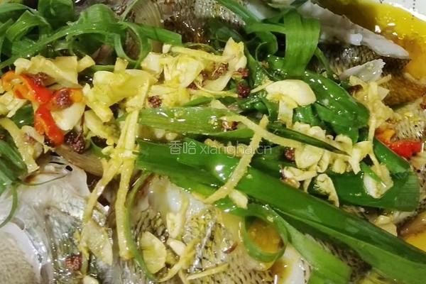 清蒸鲈鱼的做法图解9
