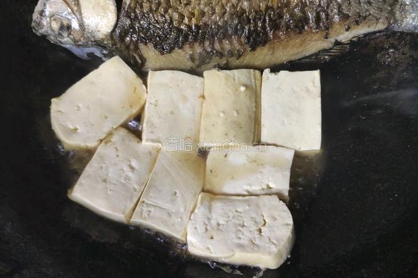 营养奶白鲫鱼豆腐汤的做法图解5