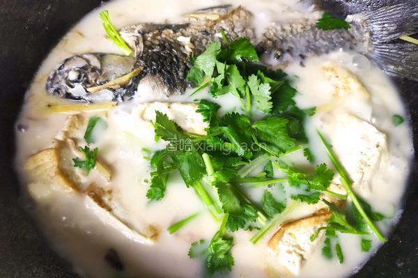 营养奶白鲫鱼豆腐汤的做法图解11