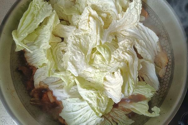 白菜炖粉条的做法图解8