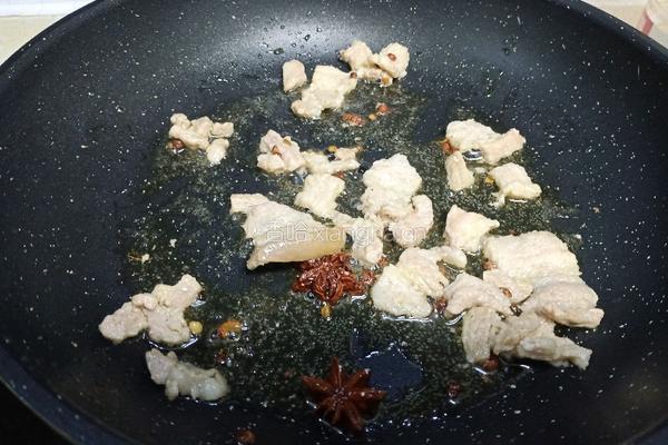 猪肉白菜炖粉条的做法图解6
