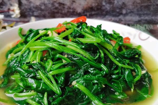 蒜香菠菜的做法图解7