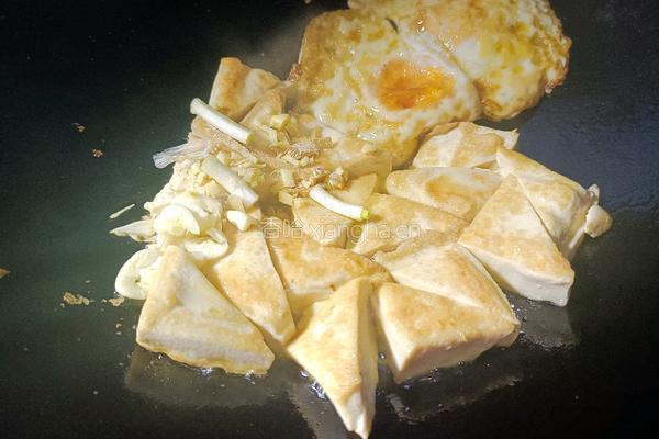 鸡蛋炖豆腐的做法图解6