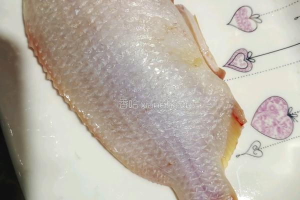 清蒸彩虹鲷的做法图解1