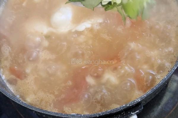 西红柿鸡蛋疙瘩汤的做法图解13