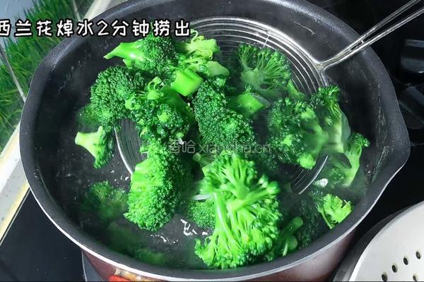 蒜蓉西兰花的做法图解1