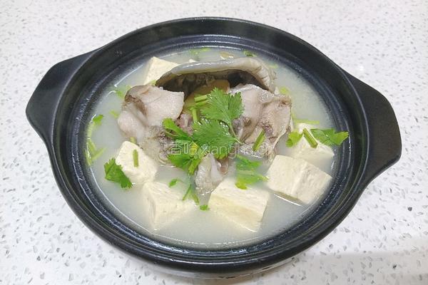 鱼头豆腐汤的做法图解6