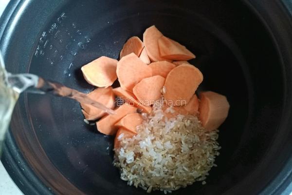 暖胃红薯粥的做法图解5
