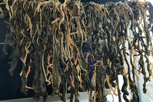 自制梅干菜的做法图解9