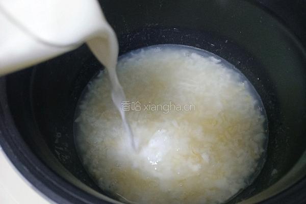 牛奶糙米燕麦粥的做法图解5