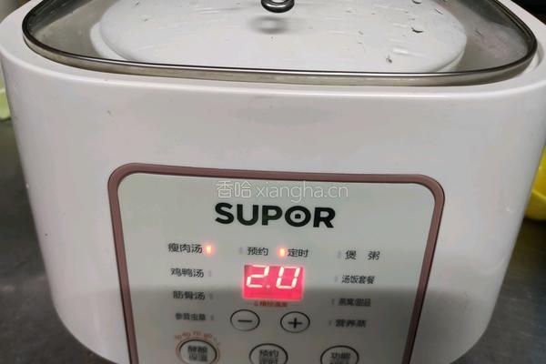 萝卜瘦肉汤的做法图解8