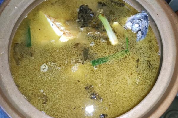 一上桌食欲大开~酸汤鲫鱼滑牛肉的做法图解5