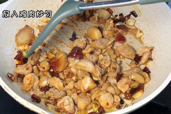 家常鸡公煲的做法图解5