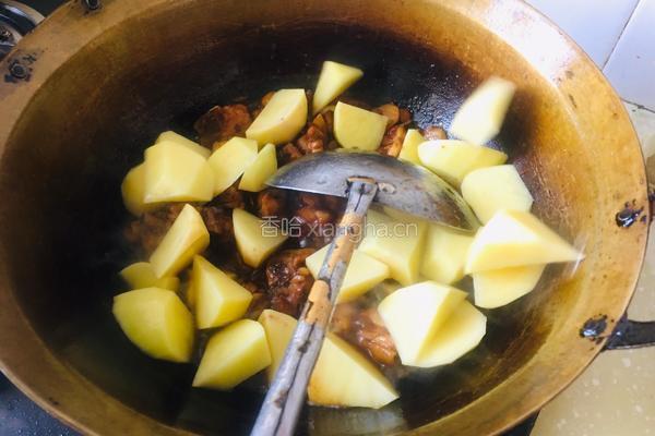 鸡肉土豆炖粉条的做法图解7