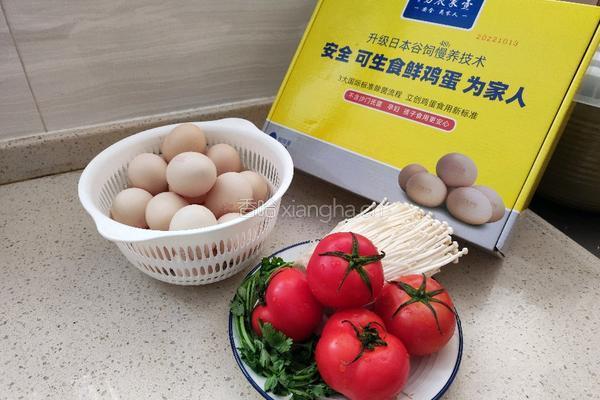 番茄金针菇蛋花汤的做法图解1