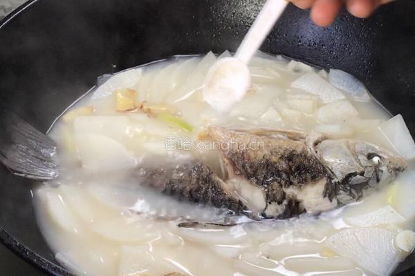 白萝卜鲫鱼汤的做法图解11