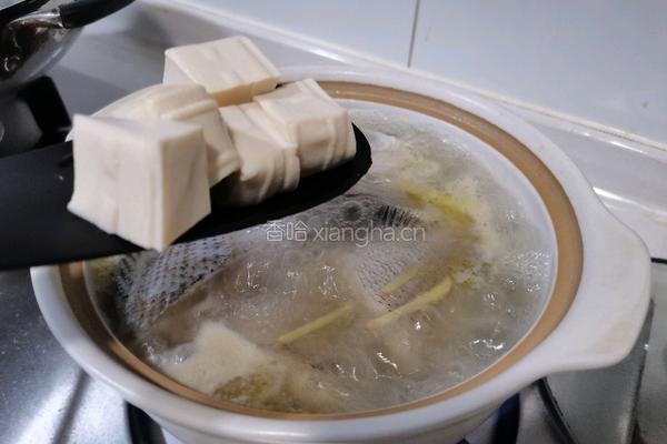 立鱼豆腐煲的做法图解6
