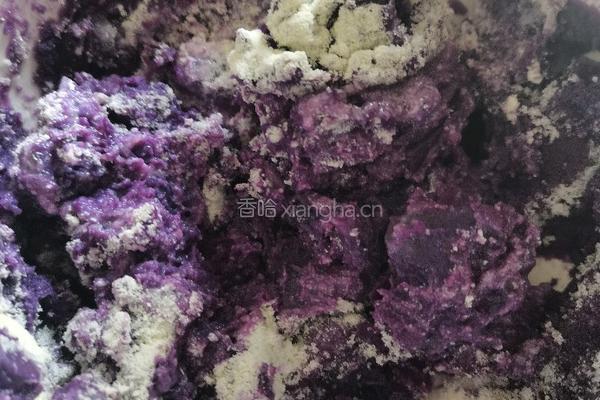 紫薯蛋挞派的做法图解6