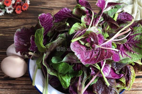 苋菜炒鸡蛋的做法图解1