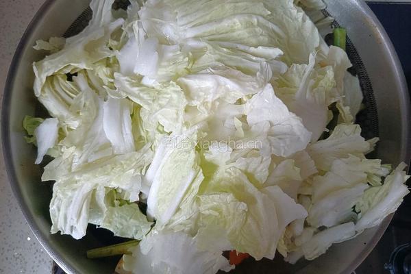鸡肉烩菜的做法图解12