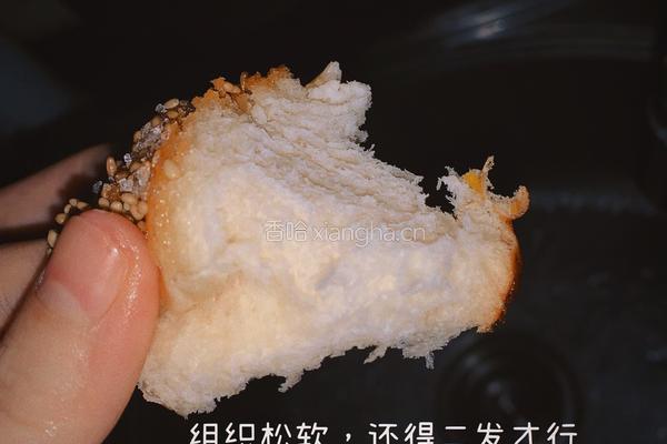 蜂蜜脆底小面包的做法图解11