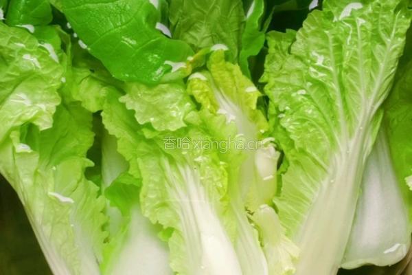 白菜山药粉丝汤的做法图解6
