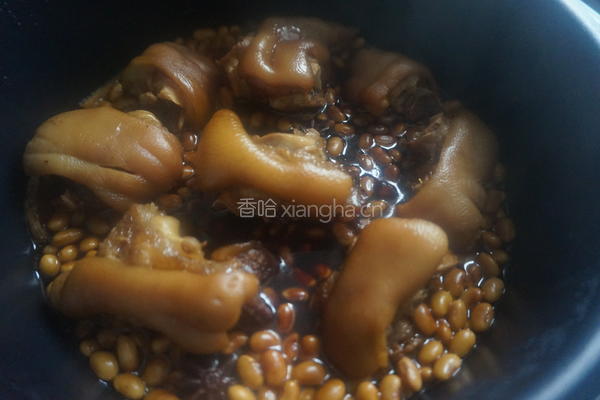 黄豆炖猪蹄的做法图解14