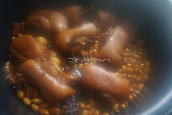 黄豆炖猪蹄的做法图解15