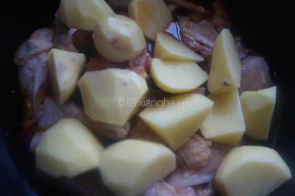 土豆炖鸡的做法图解8