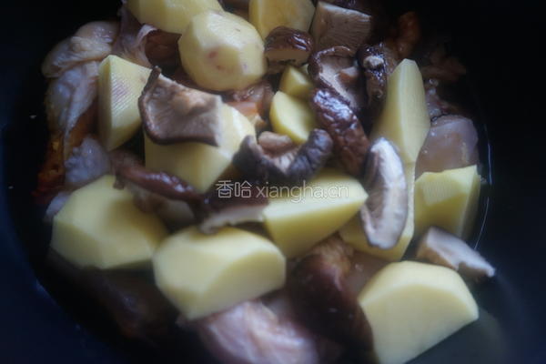 土豆炖鸡的做法图解9