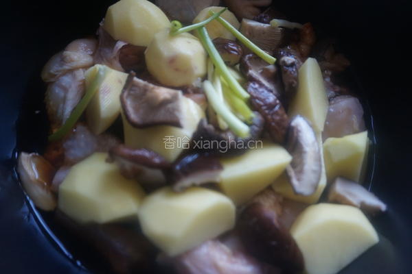 土豆炖鸡的做法图解10
