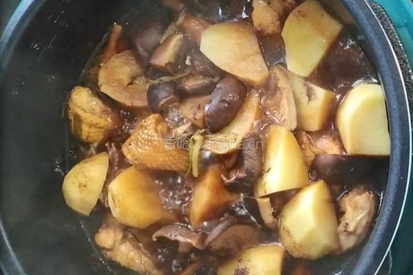 土豆炖鸡的做法图解12