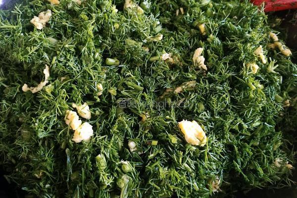 茴香鸡蛋馅饼的做法图解8