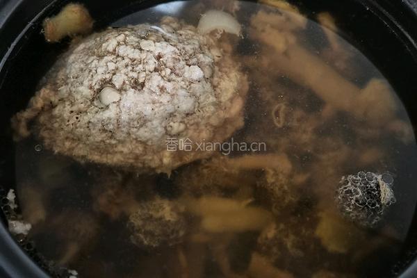 羊肚菌炖肉汁的做法图解6