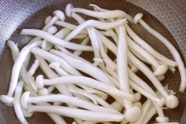 海鲜菇炒小白菜的做法图解5