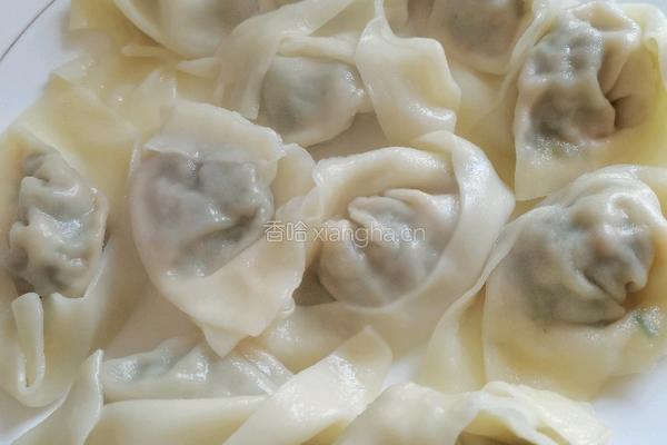 茴香猪肉饺子的做法图解14