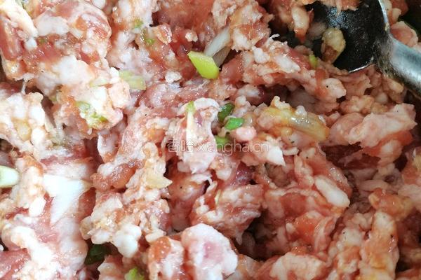 茴香猪肉饺子的做法图解4