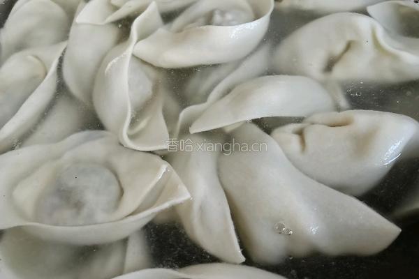 茴香猪肉饺子的做法图解11