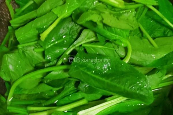 果仁菠菜的做法图解2