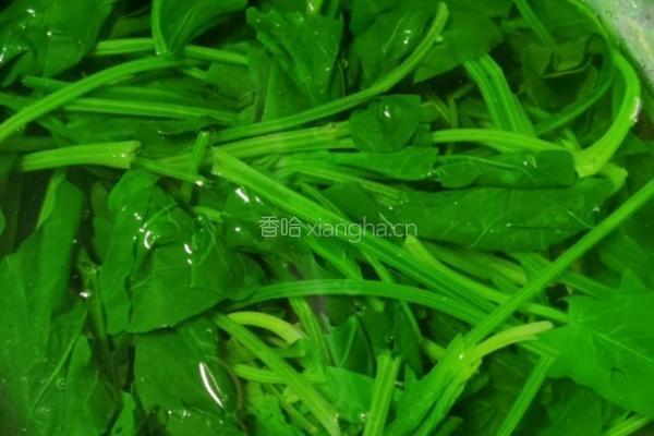 果仁菠菜的做法图解4