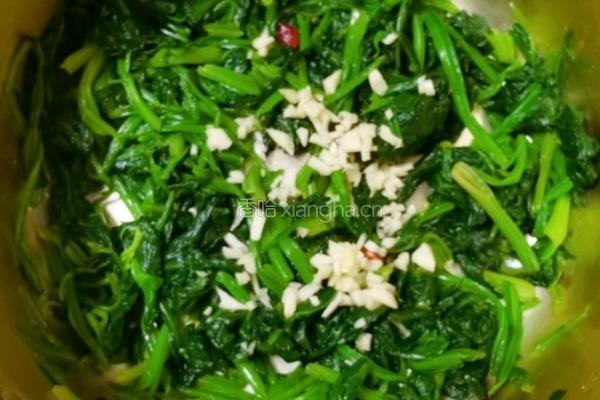 果仁菠菜的做法图解14