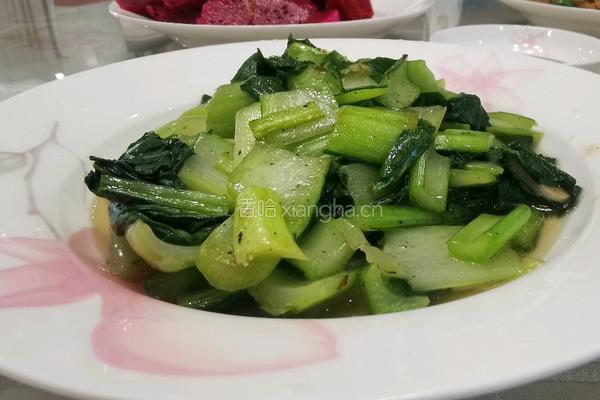 炒白菜的做法图解4