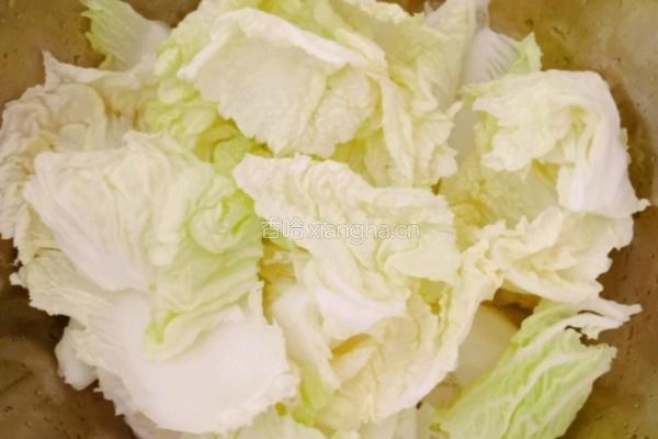 白菜炖豆腐的做法图解3