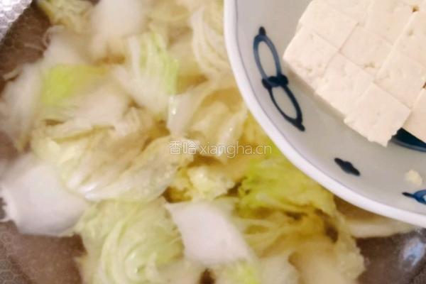 白菜炖豆腐的做法图解7