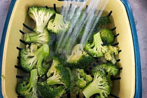 西蓝花炒虾仁的做法图解3