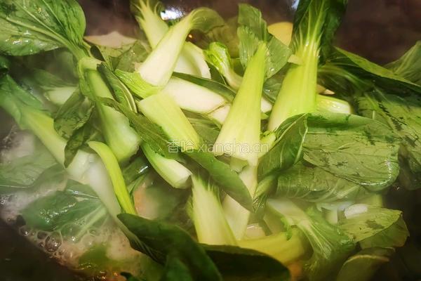 青菜豆腐的做法图解6