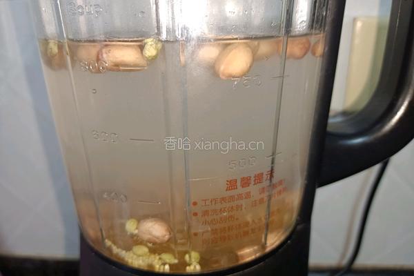 花生黄豆小米豆浆的做法图解3