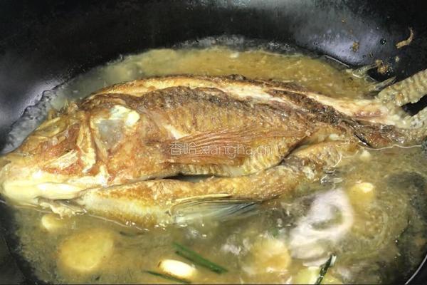 香菜烧鲫鱼的做法图解8